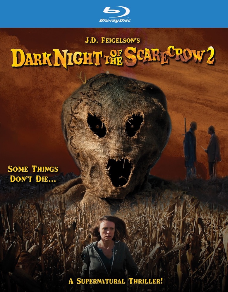2022 Horror Movie Dark Night of the Scarecrow 2